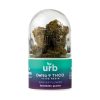 URB Delta 9 THC-O Caviar Flower 7G - Forbidden Gusher