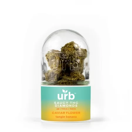 Zombi Crossbreed Live Resin THC-A 2G Disposable (Pack of 2)