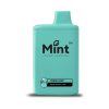 Mint Vapor 6500 Puff Disposable - Fresh Mint