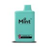 Mint Vapor 6500 Puff Disposable - Raspberry Mint