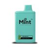Mint Vapor 6500 Puff Disposable - SpearMint