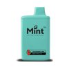 Mint Vapor 6500 Puff Disposable - Strawberry Mint