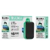 RAMA 16,000 Puff Disposable - Lime B-Pop