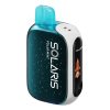 Solaris 25,000 Puff Solar Charging Disposable - Polar Mint