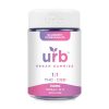 URB 1:1 THC CBD Vegan Gummies - 750MG (25Ct) - Blueberry Pomegranate
