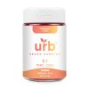 URB 1:1 THC CBD Vegan Gummies - 750MG (25Ct) - Tropical Lush
